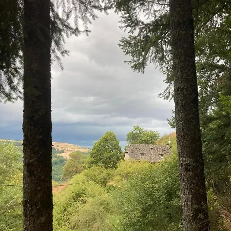 Holiday home The Old Stone House At La Foret Du Dragon Murols